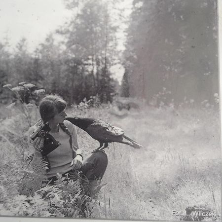 In Nature Białowieża Eksteriør billede