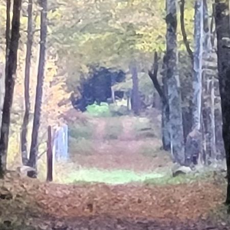 In Nature Białowieża Eksteriør billede