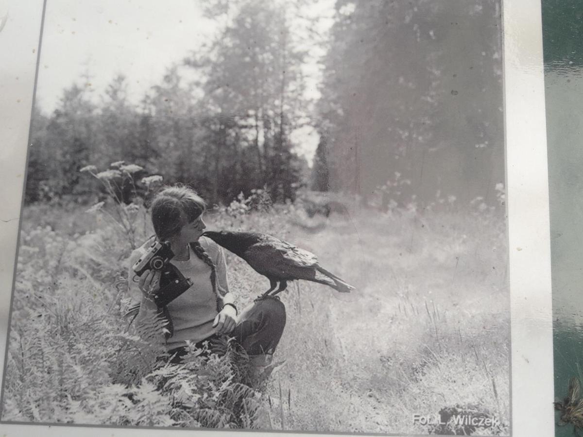 In Nature Białowieża Eksteriør billede