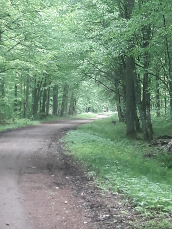 In Nature Białowieża Eksteriør billede