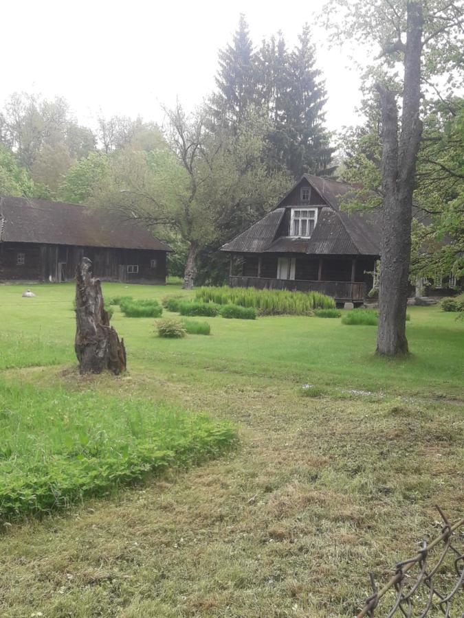 In Nature Białowieża Eksteriør billede