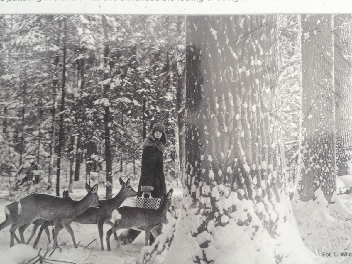 In Nature Białowieża Eksteriør billede